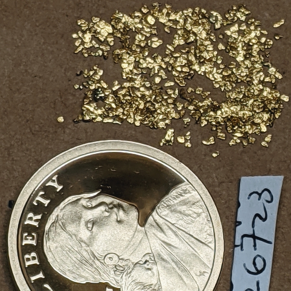 22k Gold Nugs🥇Jewelers Grade🥇Alaskan Mesh #20+